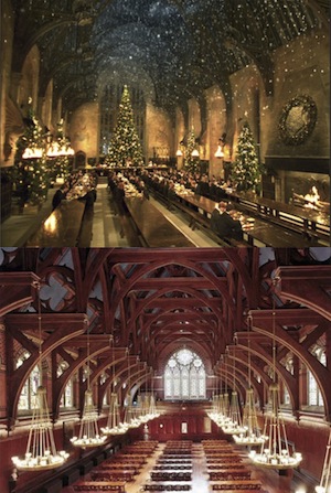 Hogwarts and Harvard