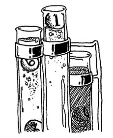 The piping and mixtures of the lotteries.